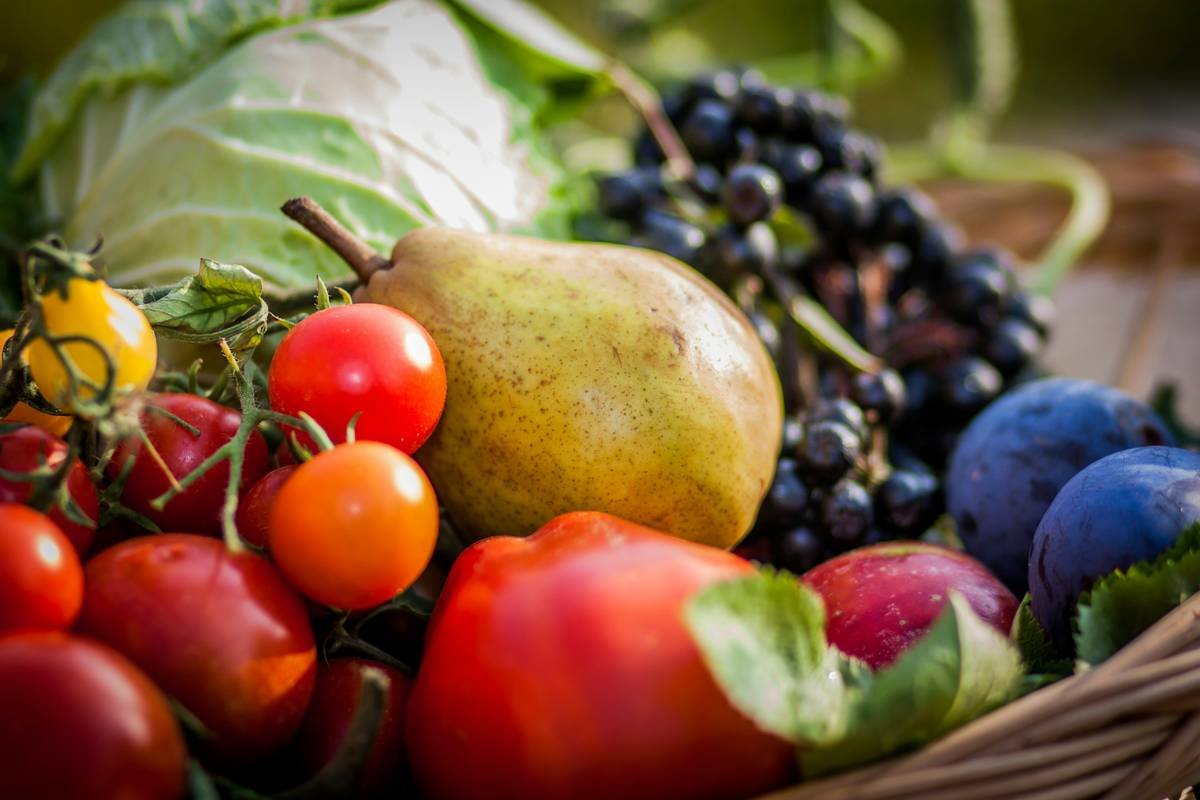 Best Local Foods That Actually Help You Lose Weight (Without Feeling Deprived)
