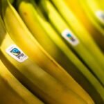 Why Farm Fresh Food Is Your Secret Weapon for Sustainable Weight Loss (And How to Actually Eat It Without Going Broke)