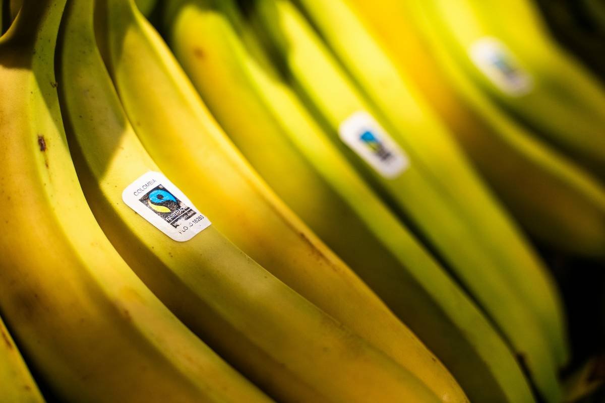 Why Farm Fresh Food Is Your Secret Weapon for Sustainable Weight Loss (And How to Actually Eat It Without Going Broke)