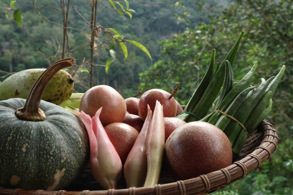 Why Organic Farms Are Your Secret Weapon for Sustainable Weight Loss (And How to Actually Use Them)