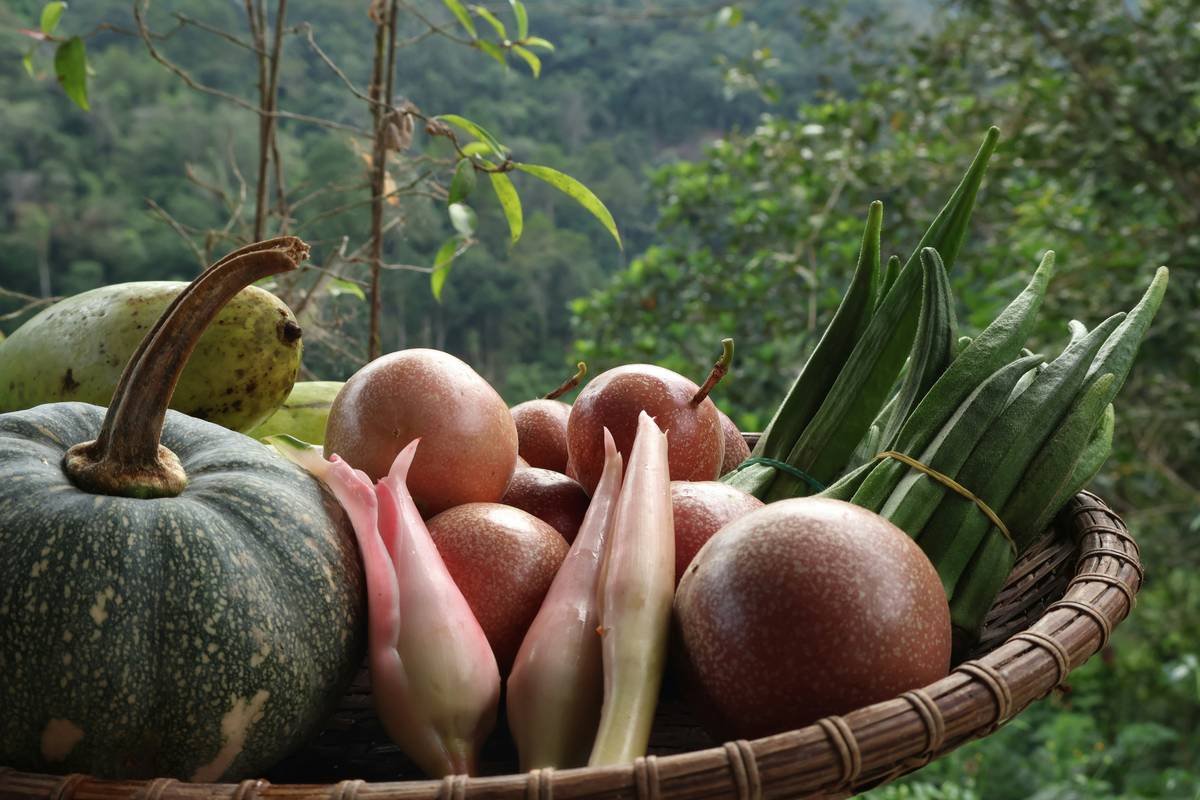 Why Organic Farms Are Your Secret Weapon for Sustainable Weight Loss (And How to Actually Use Them)
