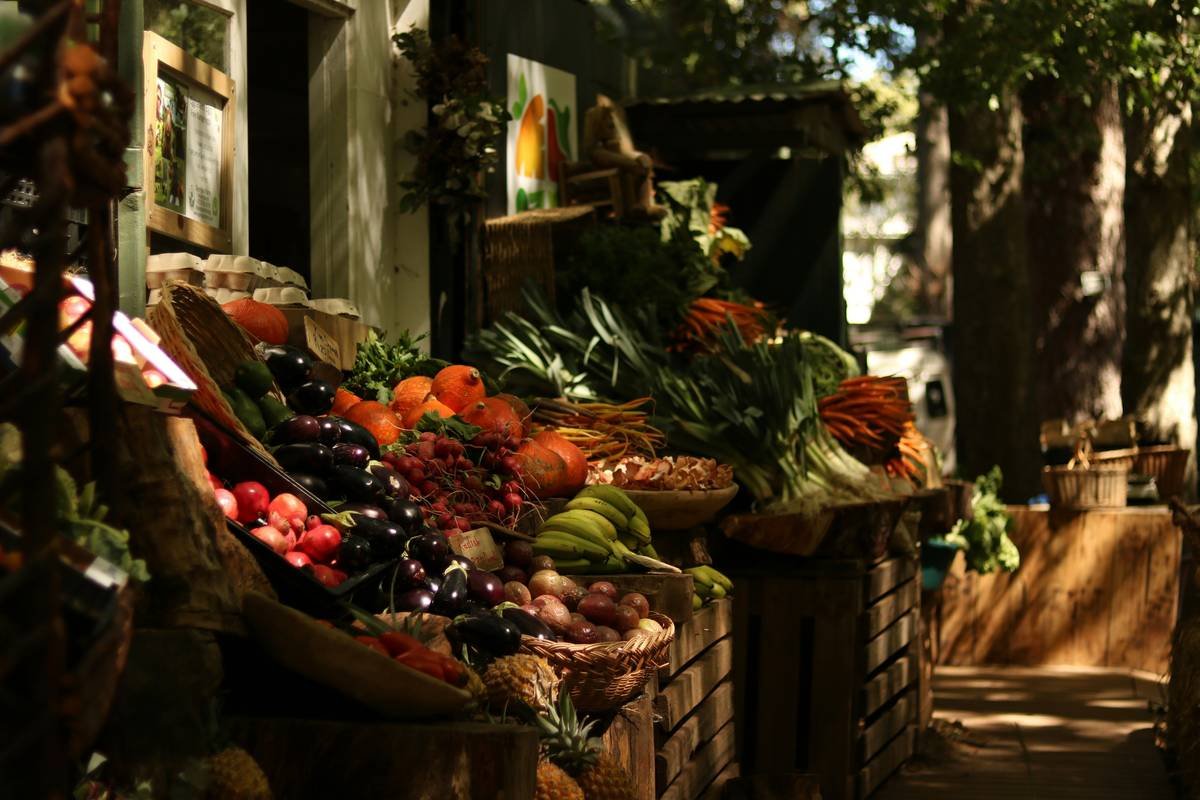 12 Science-Backed Slimming Foods to Eat That Actually Work (No Kale Shaming!)
