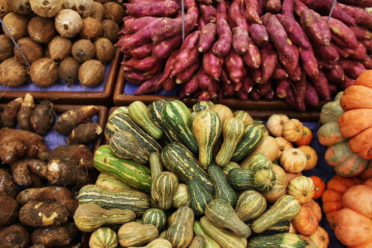 Chart comparing nutrient density of conventional vs. regenerative farm foods showing higher omega-3s, antioxidants, and vitamins in Healthy Farm Foods