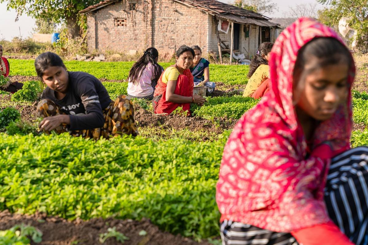 Local Farm Benefits: How Eating Hyperlocal Food Transforms Your Weight Loss Journey (and Your Gut)