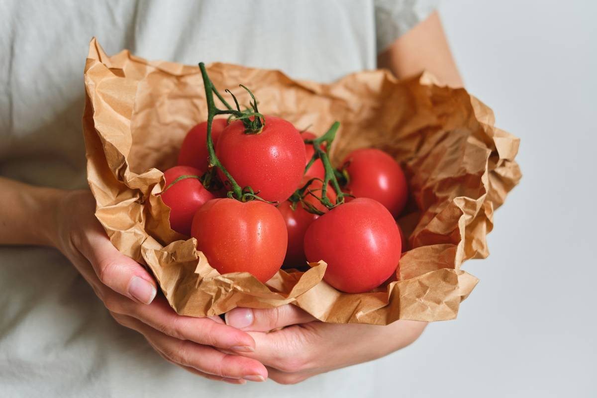 Regional Pick Territory Food What Are? Your Guide to Local Eats That Support Weight Loss & Wellness