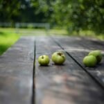 10 Science-Backed Benefits of Eating Locally Grown Food (And Why Your Waistline Will Thank You)