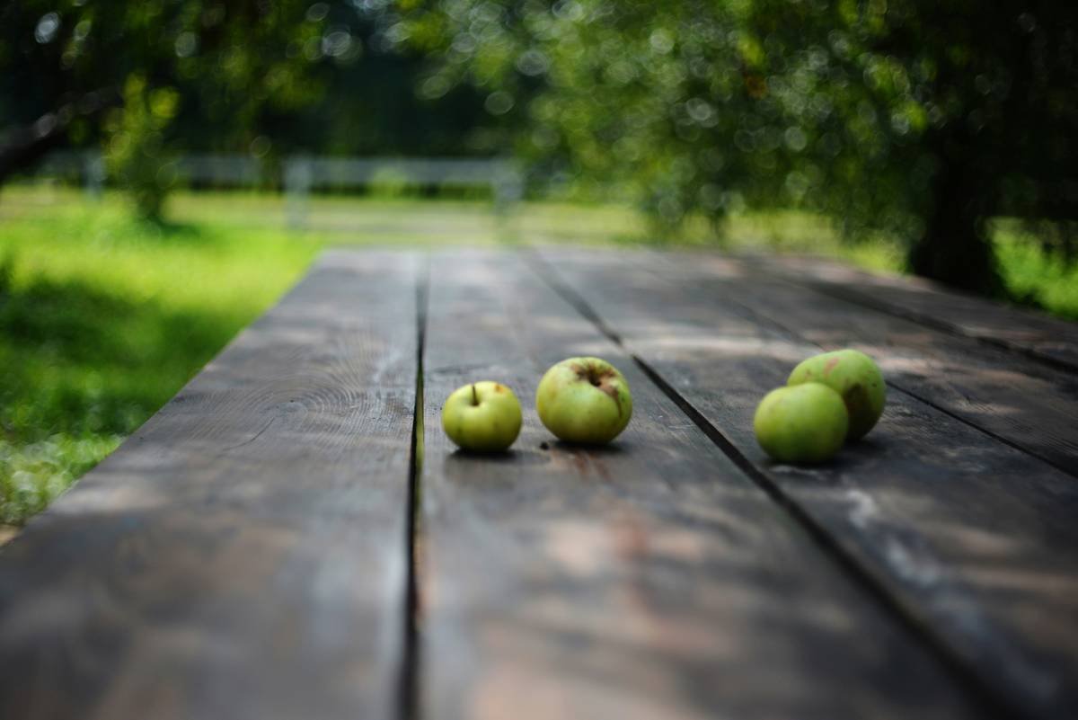 10 Science-Backed Benefits of Eating Locally Grown Food (And Why Your Waistline Will Thank You)