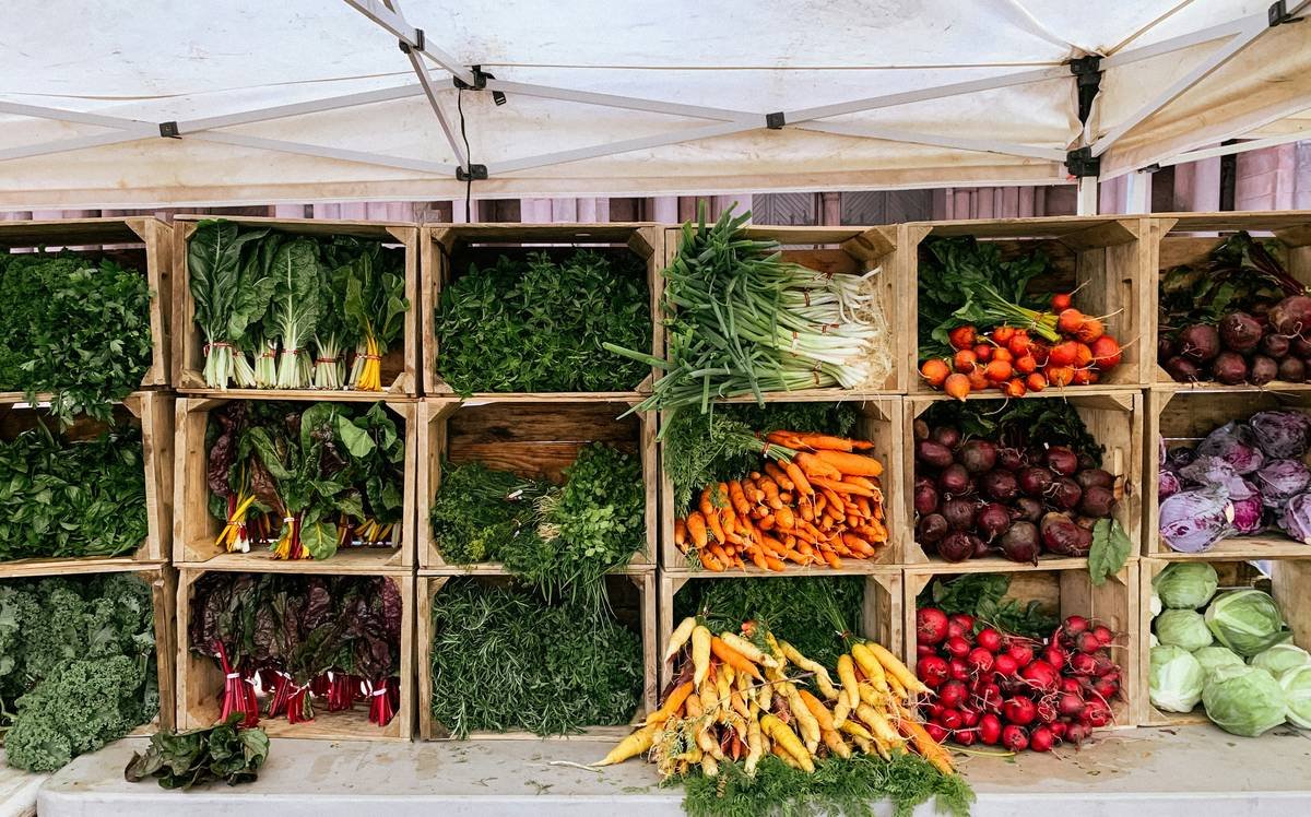 Bar chart comparing phytonutrient levels in local vs. imported produce: local kale shows 40% higher flavonoids, local apples 35% more quercetin