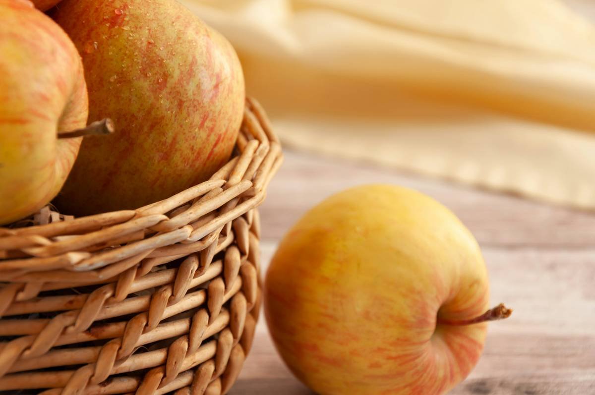 How to Build a Weight-Loss-Friendly Local Foods Menu PDF (Without Guesswork or Guilt)