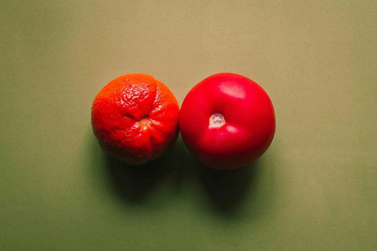 Territory Foods vs Trifecta: Which Meal Delivery Service Actually Fits Your Weight Loss Goals?