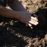 growing food for beginners: The No-BS Path to Your First Harvest