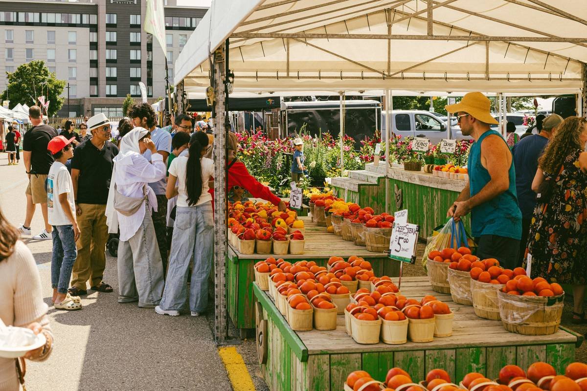 Farm Fresh Foods Albany: 7 Proven Tips to Avoid Costly Weight Loss Mistakes