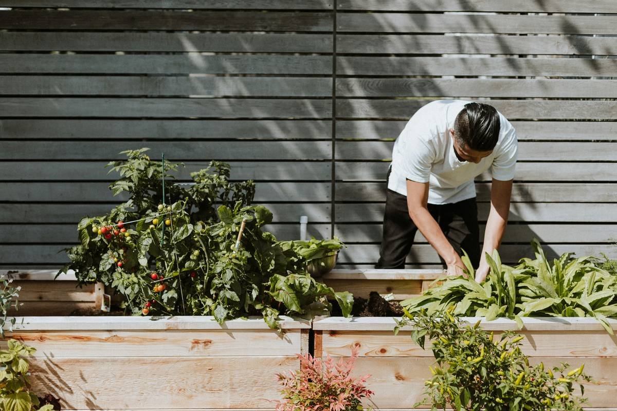 Farming Own Food: 7 Proven Ways to Avoid Costly Weight Loss Mistakes
